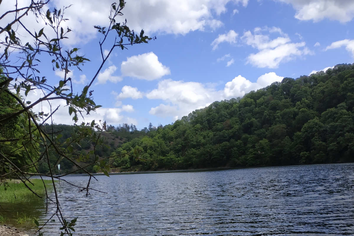 Wandern im Naturpark Kellerwald-Edersee - Knorreichenstieg, Urwaldsteig, Kellerwaldsteig und Edersee