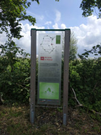 Wandern auf dem Bergmähwiesenpfad im Vogelsberg