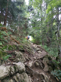 Aufstieg zur Enzianhütte