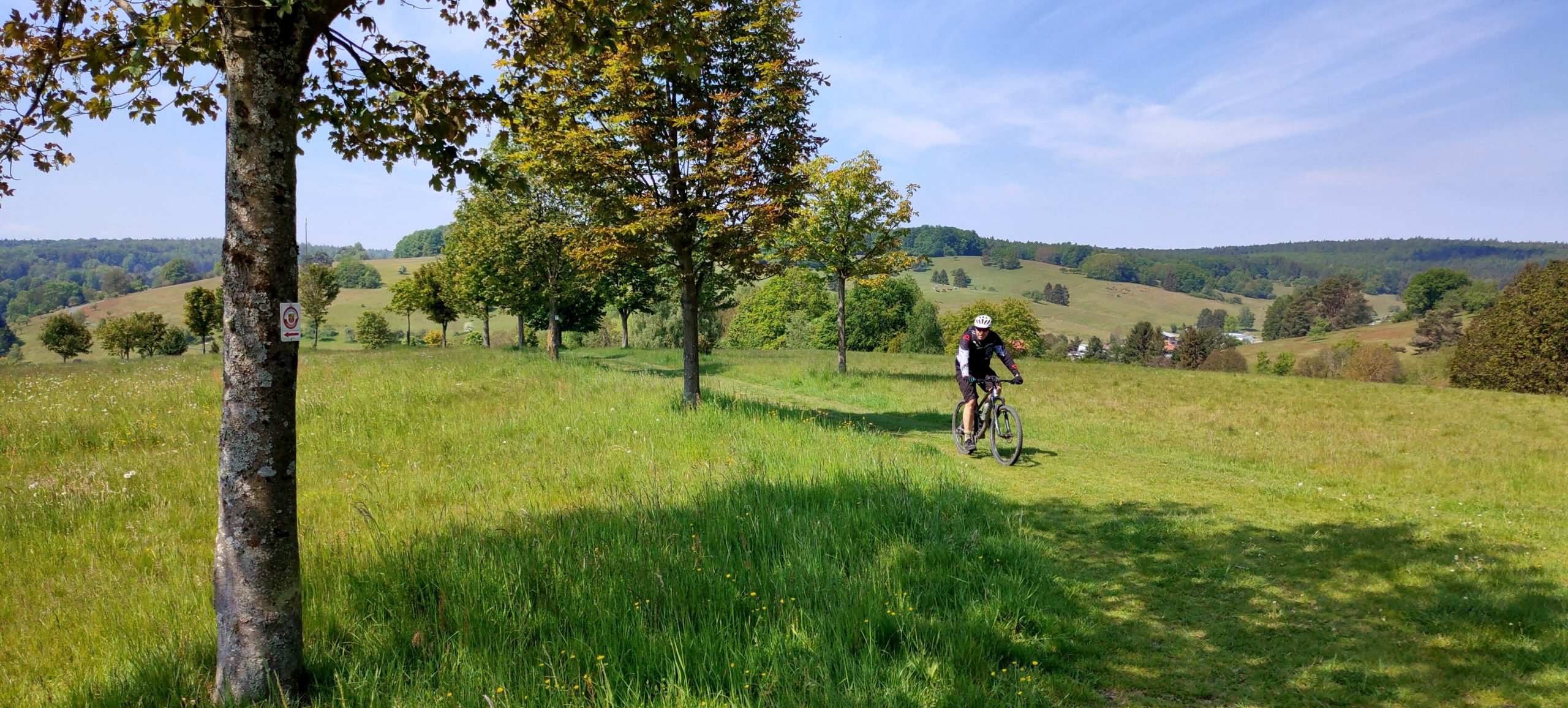 Trail-Tour auf dem Spessartweg 1 nach Gemünden