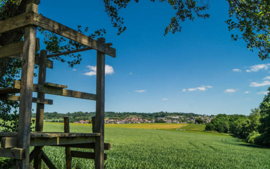 Wandern auf der Schächerbachtour im Vogelsberg