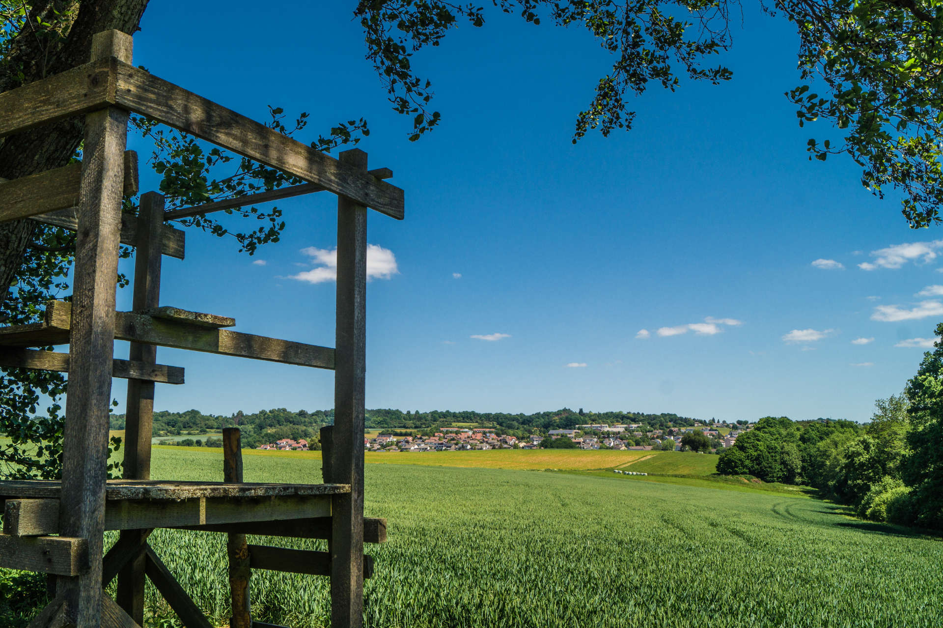 Wandern auf der Schächerbachtour im Vogelsberg