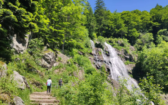 Rundwanderung Todtnauer Wasserfall Hochschwarzwald