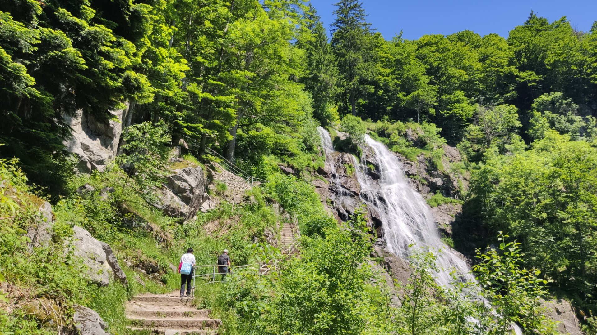 Rundwanderung Todtnauer Wasserfall Hochschwarzwald