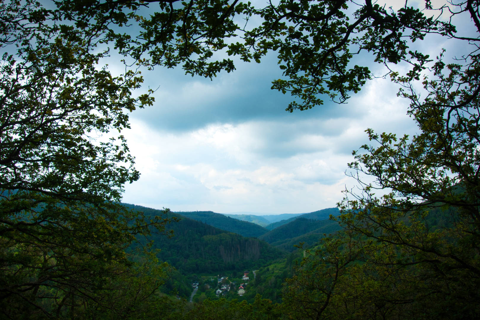 Wisper-Trail Dickschieder Wildwechsel