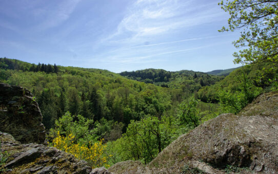 Traumschleife Layensteig Strimmiger Berg
